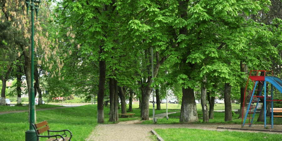 Malsi Reserve Forest